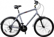 Городской велосипед Comanche Holiday M