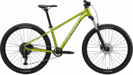 Merida Big.Seven 20 Fall Green(silver green)